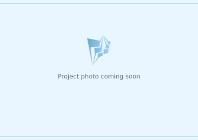 [Project Name]